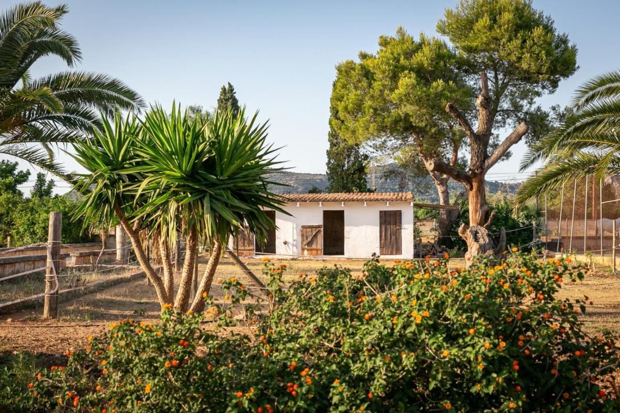 Villa Paradise